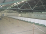 Historia-2003