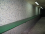 Rifle 2011